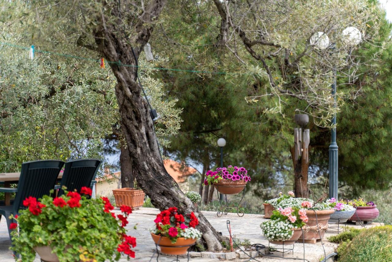 Villa Elia Kavala - Mediterranean Holiday Villa PalaiónTsiflíkion Eksteriør billede