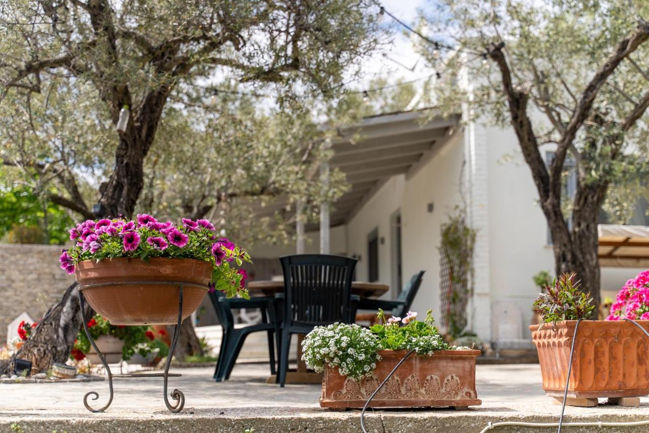 Villa Elia Kavala - Mediterranean Holiday Villa PalaiónTsiflíkion Eksteriør billede