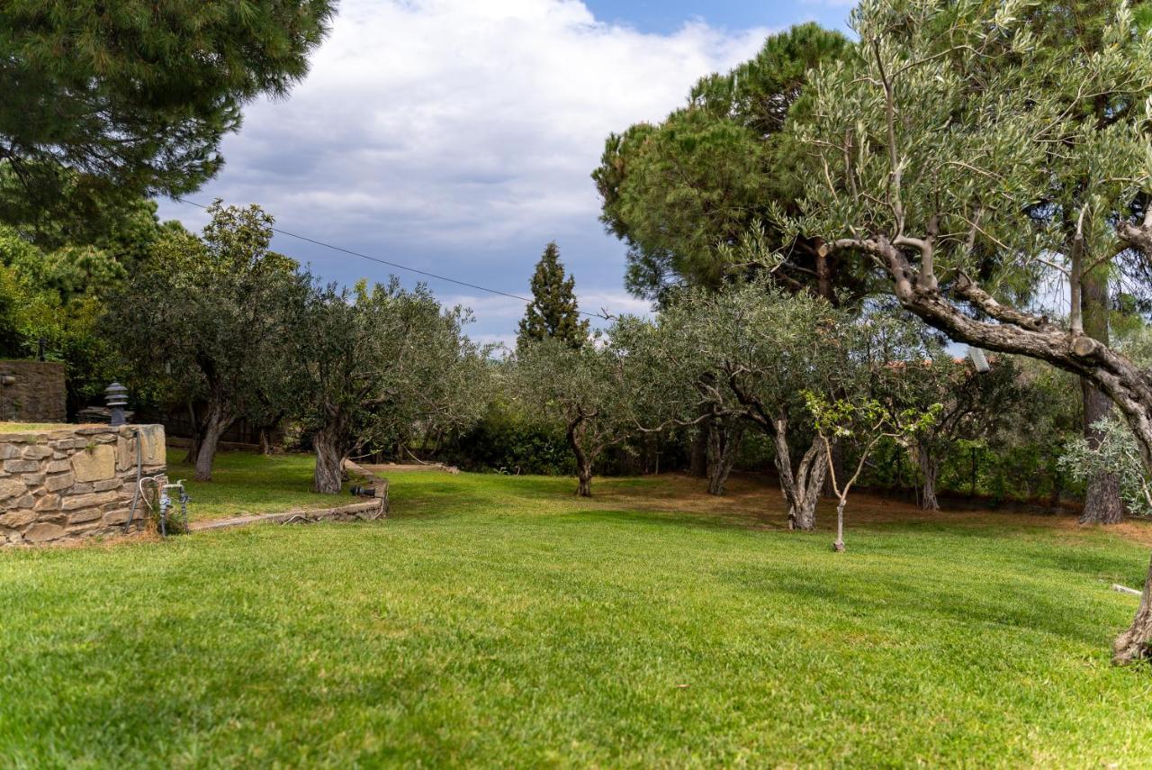Villa Elia Kavala - Mediterranean Holiday Villa PalaiónTsiflíkion Eksteriør billede